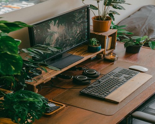 A desk setup with laptop and indoor plants